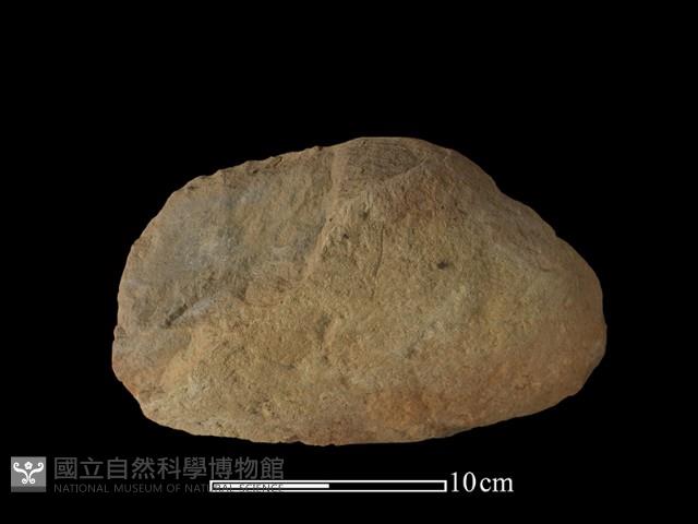 石核藏品圖，第2張