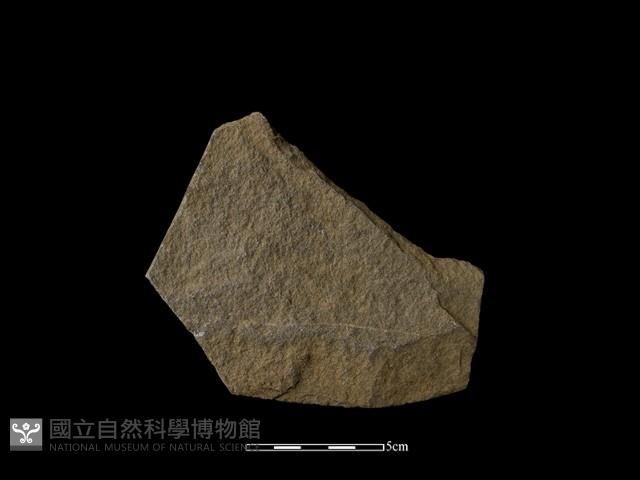 石片器藏品圖，第1張