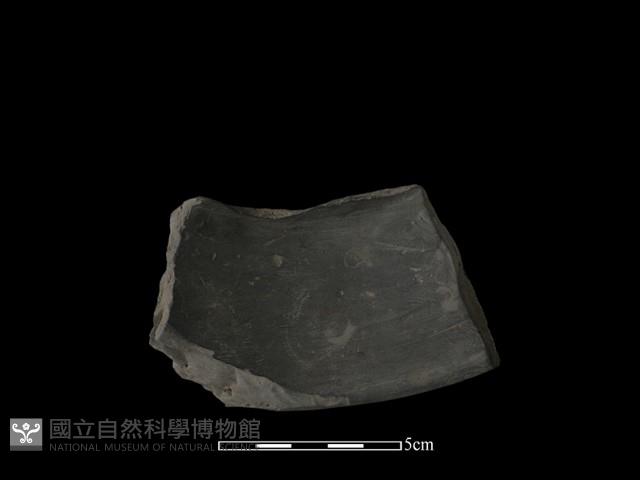 陶片藏品圖，第3張