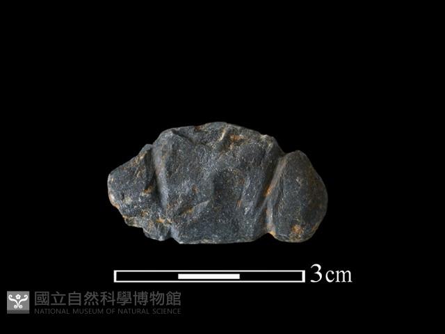 網墜藏品圖，第2張