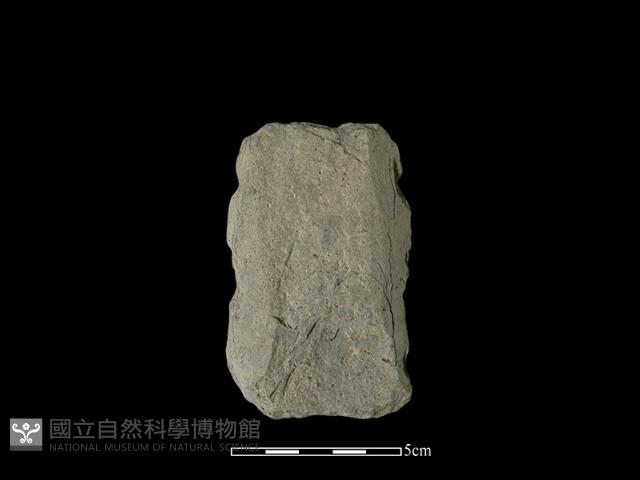 矛鏃形器藏品圖，第1張