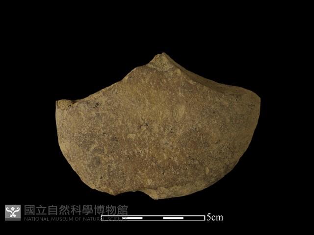 砥石藏品圖，第2張