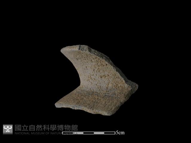 陶片藏品圖，第3張