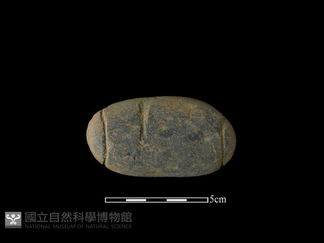 網墜藏品圖，第1張