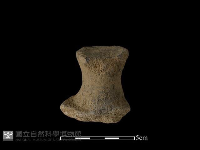 陶蓋鈕藏品圖，第1張