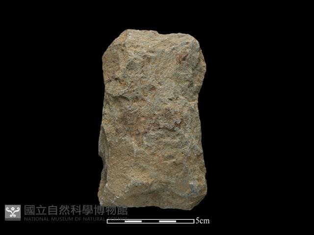 斧鋤形器藏品圖，第1張