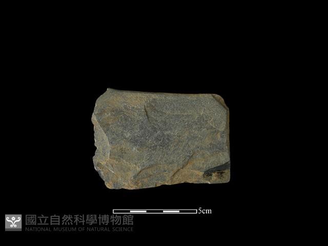 戈形器藏品圖，第1張
