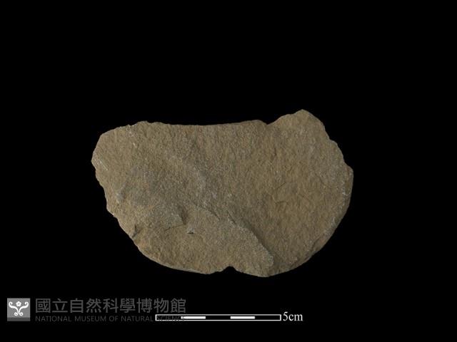 石片器藏品圖，第2張