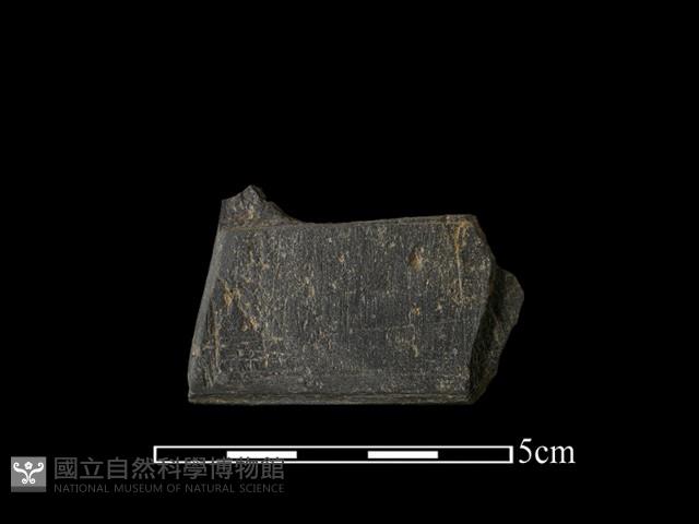 帶加工痕石材藏品圖，第1張