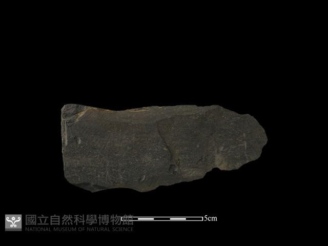 戈形器藏品圖，第2張