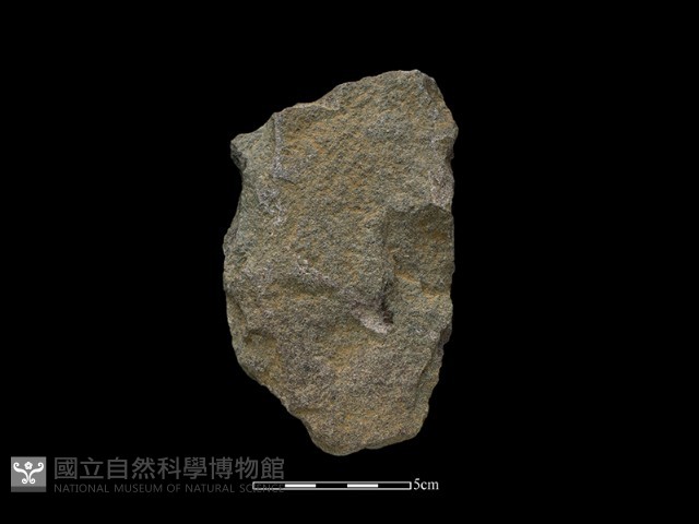 斧鋤形器藏品圖，第2張