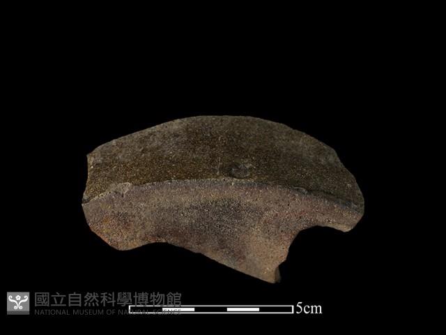 陶片藏品圖，第2張