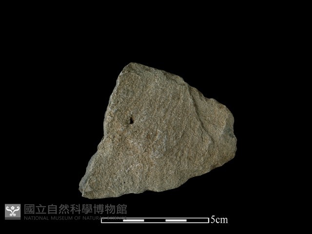 石片器藏品圖，第2張