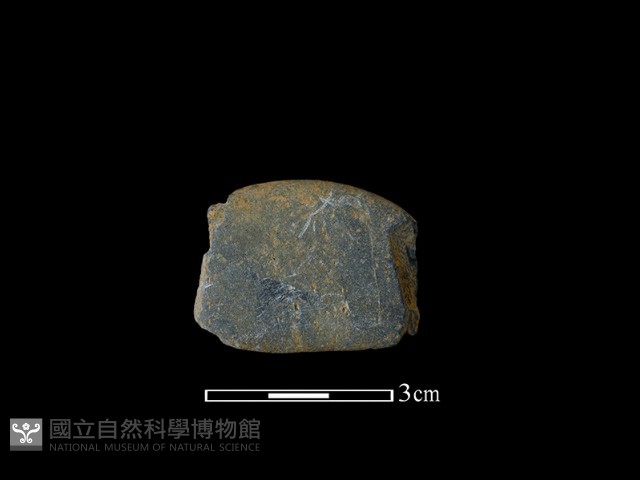 網墜藏品圖，第2張