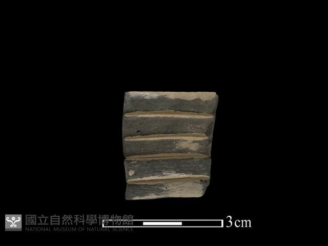 陶環藏品圖，第2張