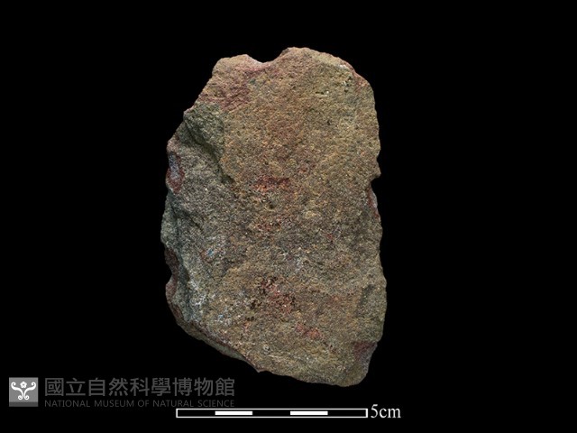 斧鋤形器藏品圖，第2張