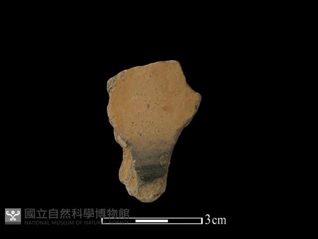 陶片藏品圖，第2張