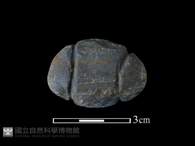 網墜藏品圖，第1張