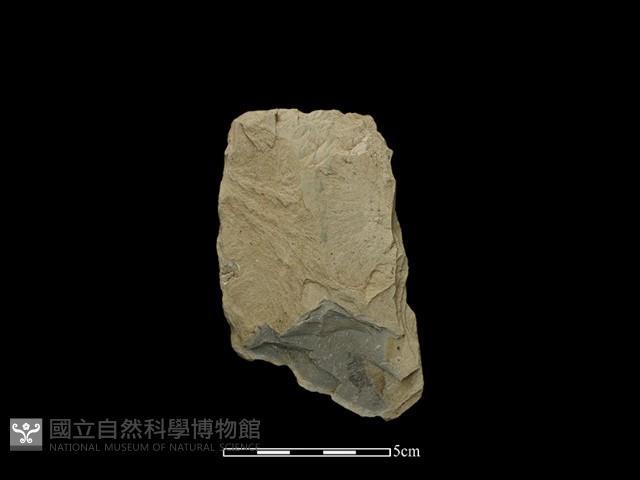 斧鋤形器藏品圖，第1張