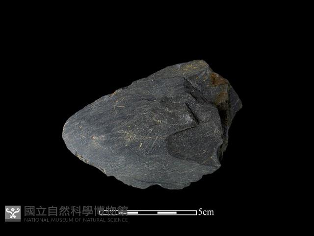 石鏟藏品圖，第1張