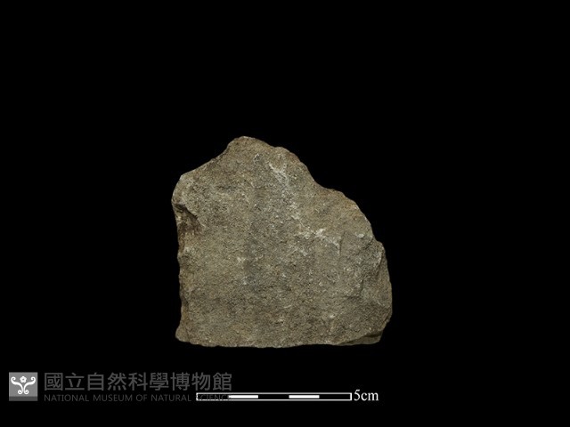 斧鋤形器藏品圖，第2張