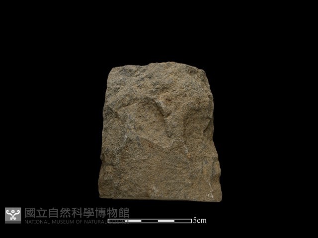 斧鋤形器藏品圖，第1張
