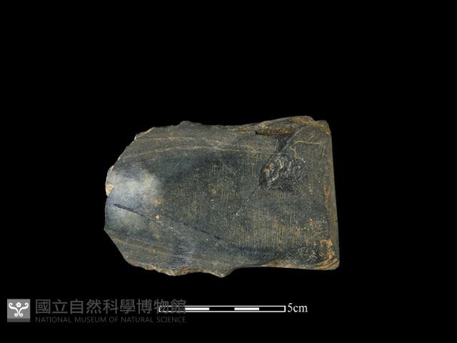 戈形器藏品圖，第2張