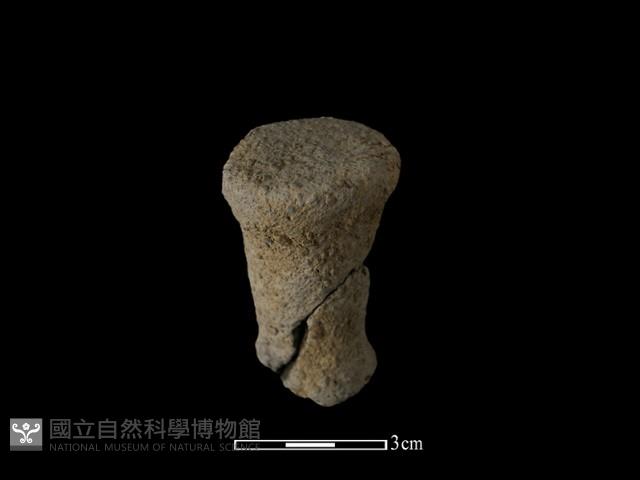 陶蓋鈕藏品圖，第1張