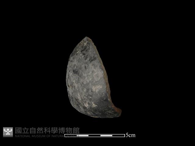 陶片藏品圖，第2張