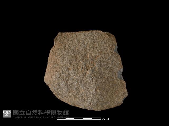 石片器藏品圖，第1張