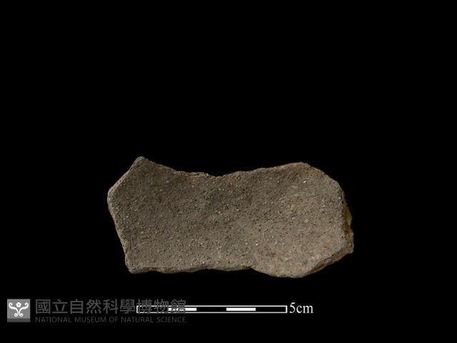陶片藏品圖，第1張
