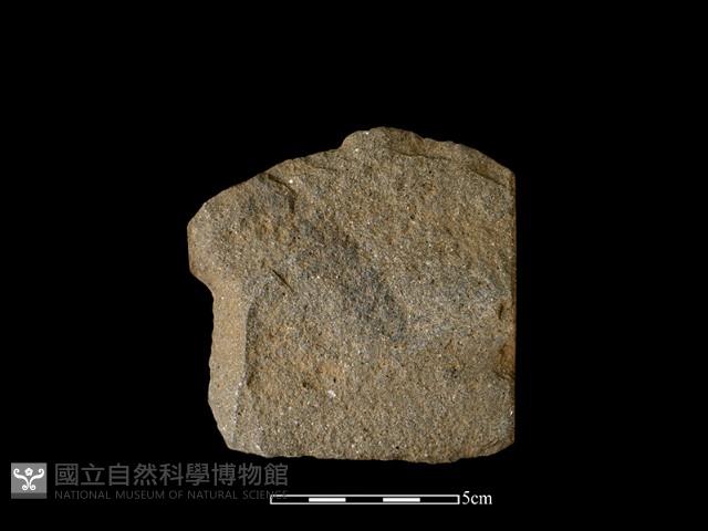 石片器藏品圖，第1張