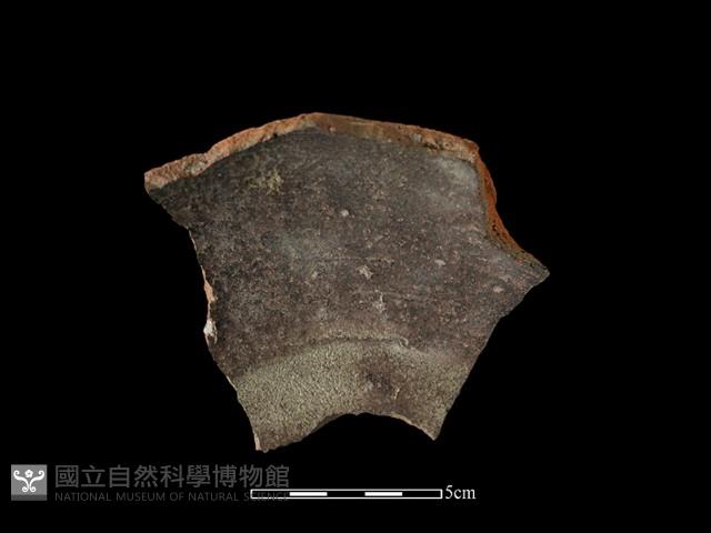 Accession Number:SNT-2018-169 Collection Image, Figure 1, Total 2 Figures