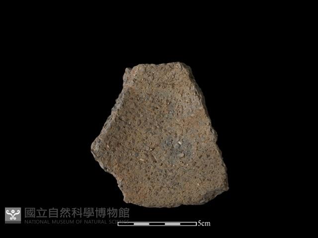 陶片藏品圖，第2張