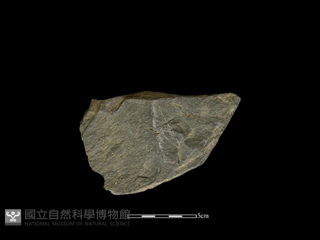 打製石器藏品圖，第1張