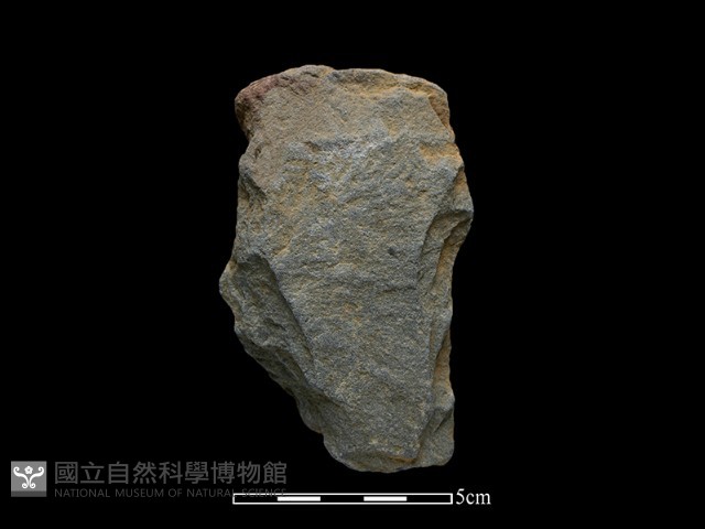 斧鋤形器藏品圖，第2張