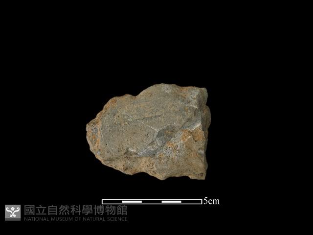 戈形器藏品圖，第2張
