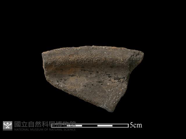 陶片藏品圖，第2張