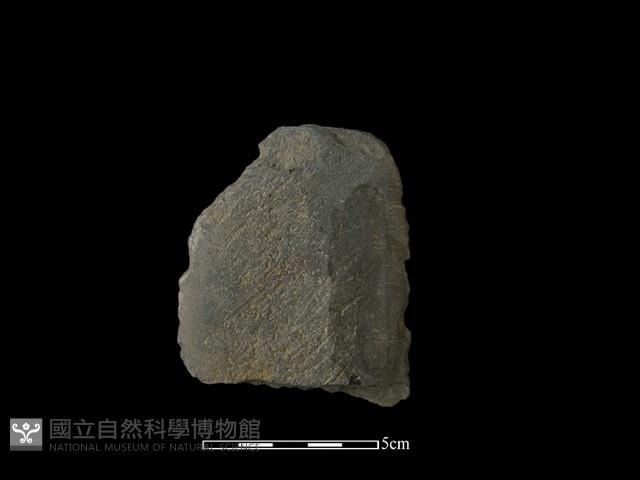磨製斧鋤形器藏品圖，第2張