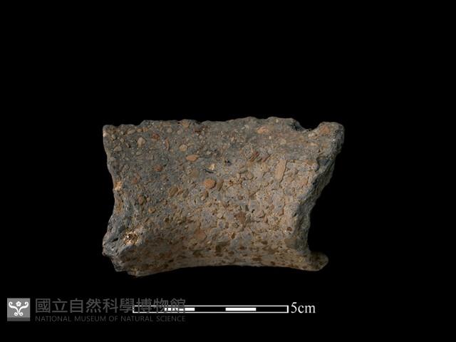 陶片藏品圖，第2張