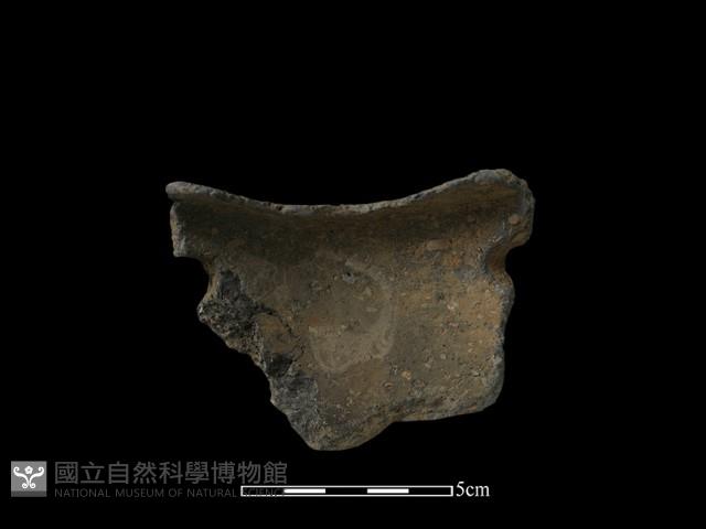 陶器藏品圖，第2張