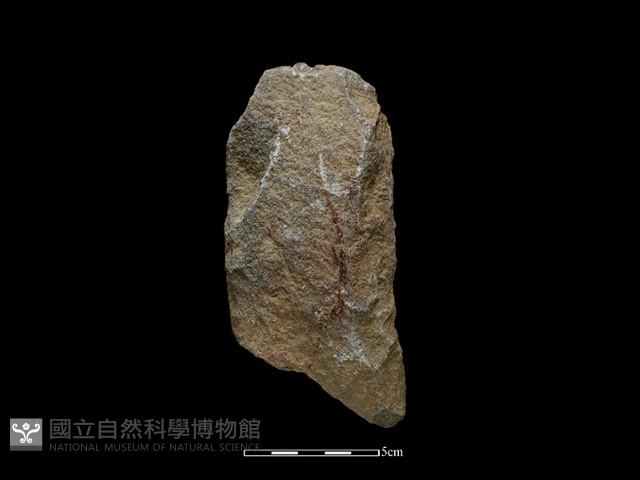 斧鋤形器藏品圖，第1張