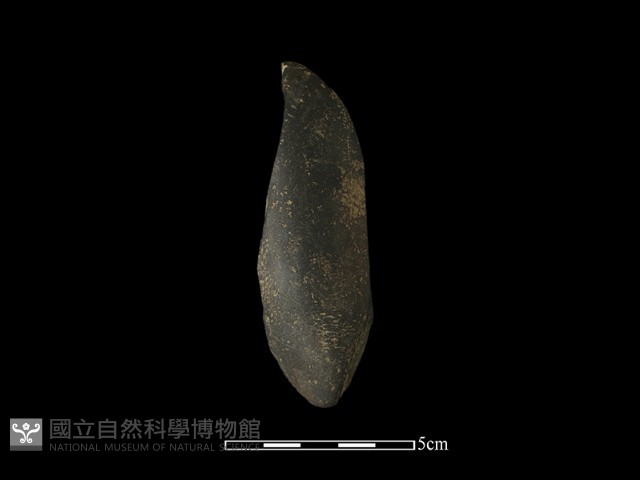 石鎚藏品圖，第2張