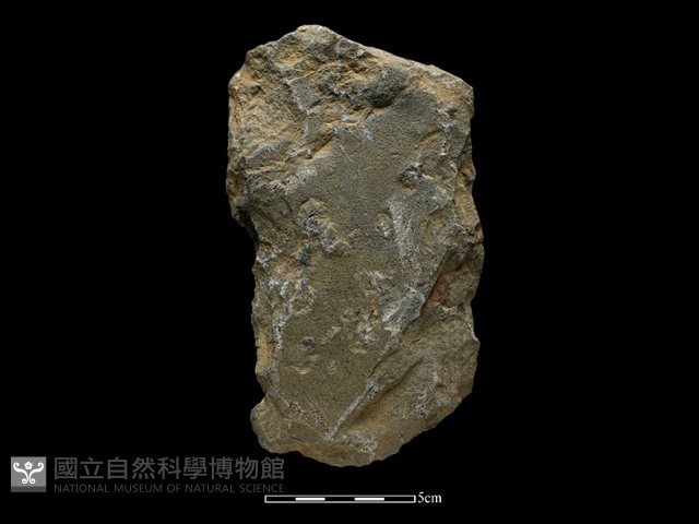 斧鋤形器藏品圖，第1張