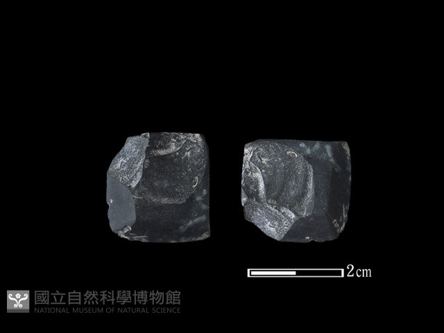 錛鑿形器藏品圖，第1張