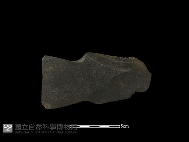 戈形器藏品圖，第1張