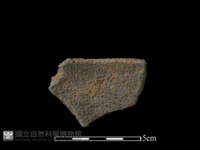 陶缽藏品圖，第2張