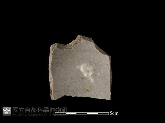 瓷碗藏品圖，第1張