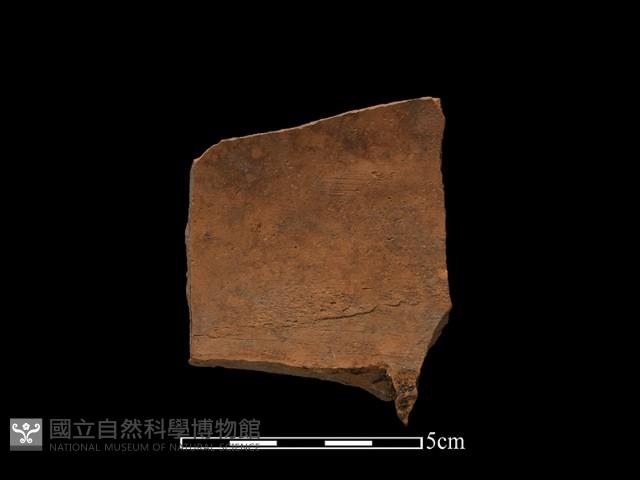 陶片藏品圖，第1張