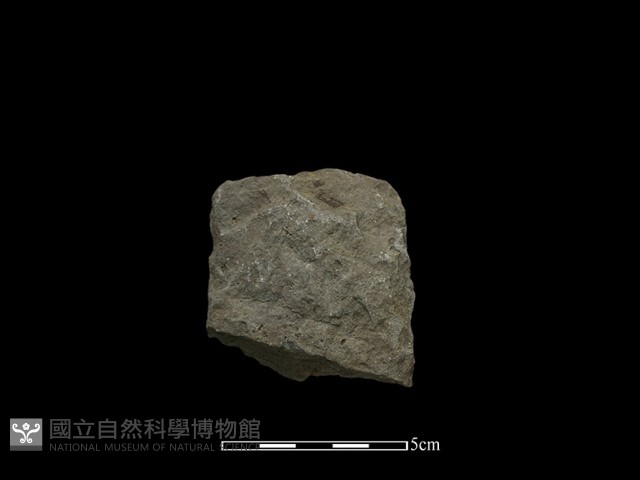 斧鋤形器藏品圖，第2張